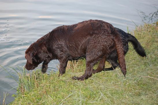 Und ab ins Wasser