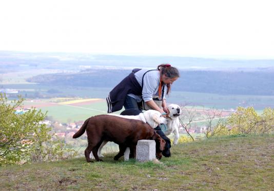 Leinenverknuddlung