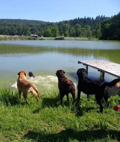 Ankunft am Weiher